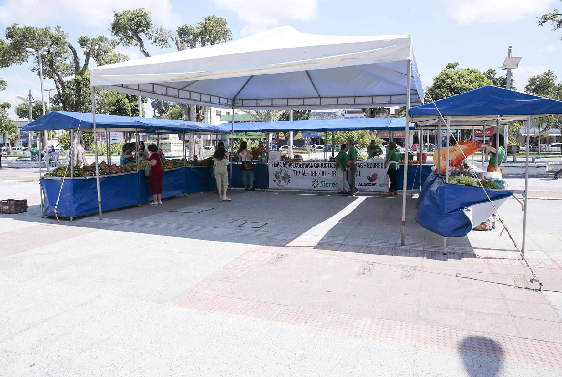 Feira agroecológica do TJAL leva produtos orgânicos à população