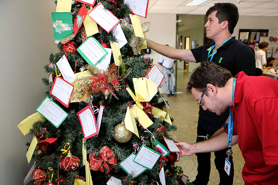 Servidores conferem as cartinhas na árvore solidária, no TJ. Foto: Caio Loureiro