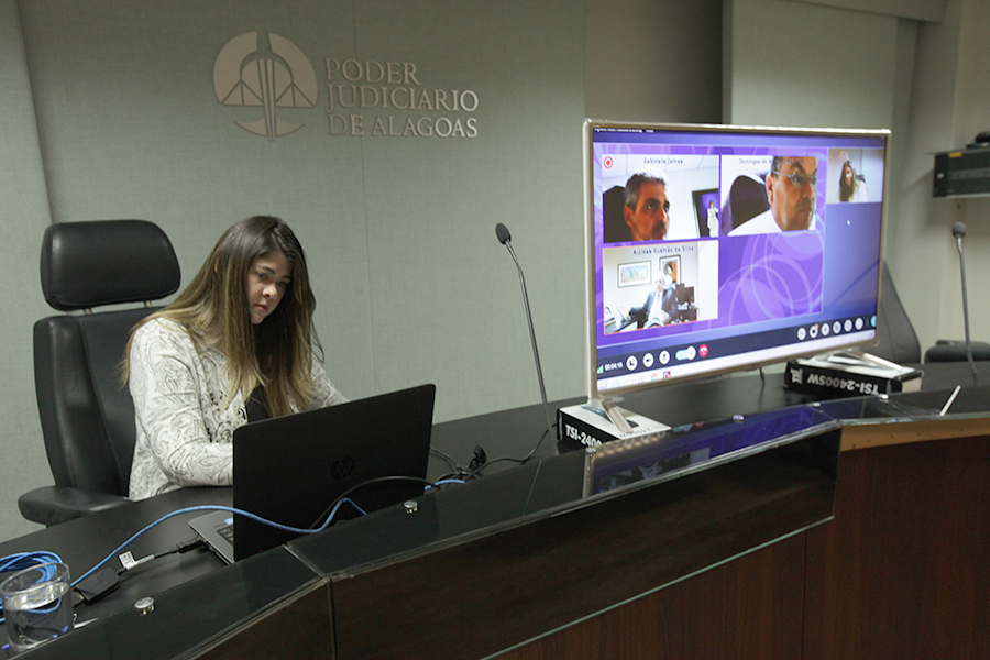 Sessão virtual foi realizada na tarde desta terça-feira (29).