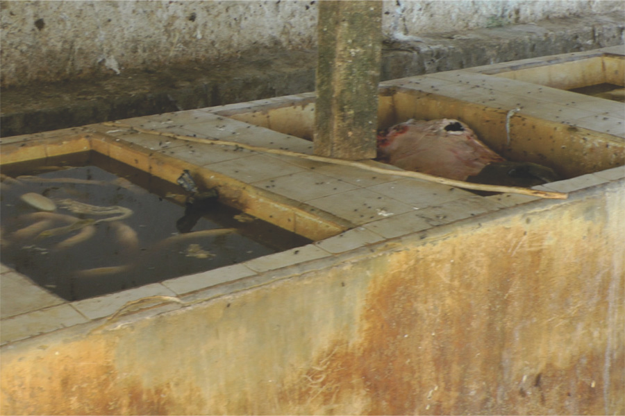 Imagem do matadouro antes das reformas realizadas pela Prefeitura.